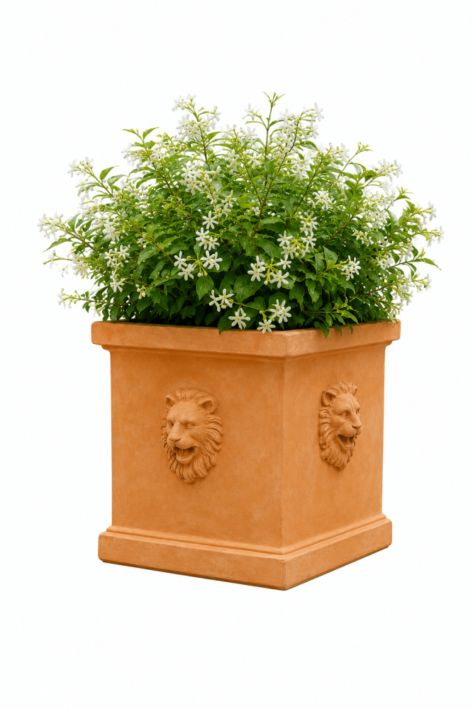 Jardinière carrée en terre cuite d'Impruneta – Têtes de lion 29 × 29 × 32 cm